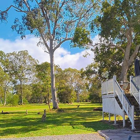 Lake Weyba Noosa Lodge & Kangaroos เพเรเจียนบีช ภายนอก รูปภาพ