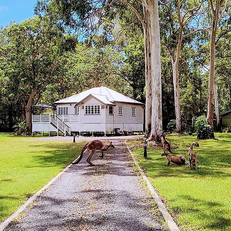 Lake Weyba Noosa Lodge & Kangaroos เพเรเจียนบีช ภายนอก รูปภาพ