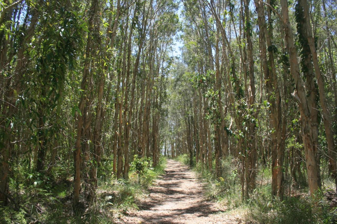 Lake Weyba Noosa Lodge & Kangaroos เพเรเจียนบีช ภายนอก รูปภาพ