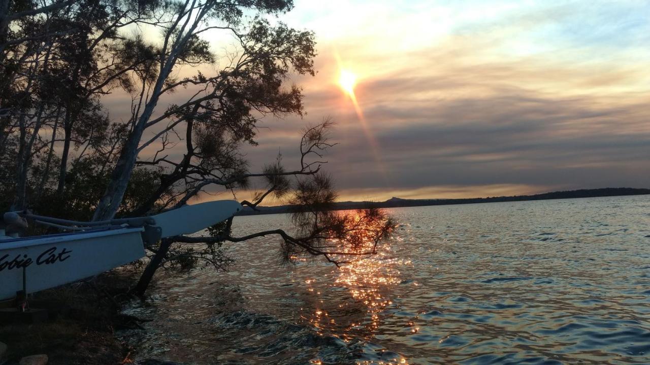 Lake Weyba Noosa Lodge & Kangaroos เพเรเจียนบีช ภายนอก รูปภาพ