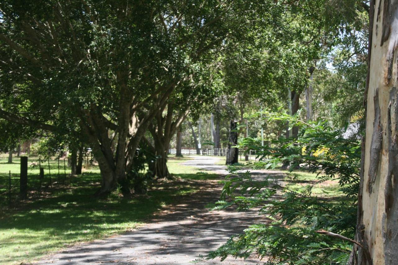 Lake Weyba Noosa Lodge & Kangaroos เพเรเจียนบีช ภายนอก รูปภาพ