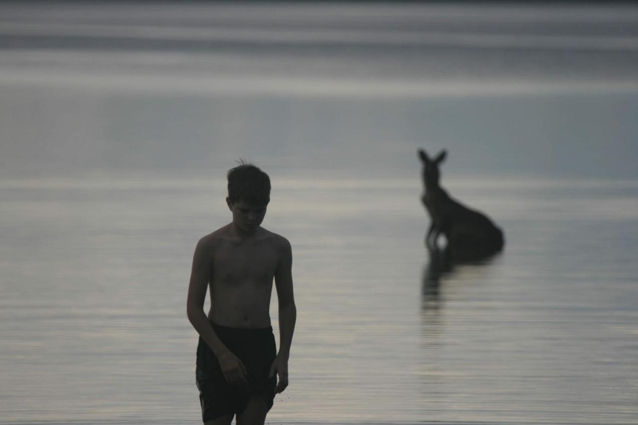 Lake Weyba Noosa Lodge & Kangaroos เพเรเจียนบีช ภายนอก รูปภาพ