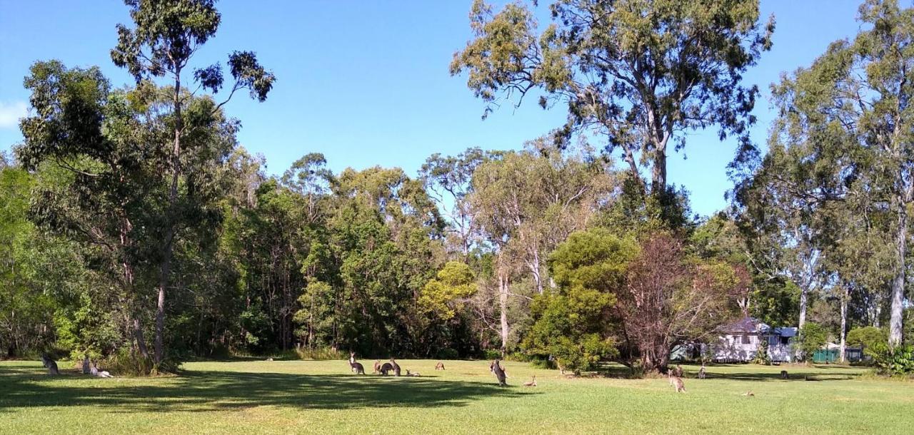 Lake Weyba Noosa Lodge & Kangaroos เพเรเจียนบีช ภายนอก รูปภาพ