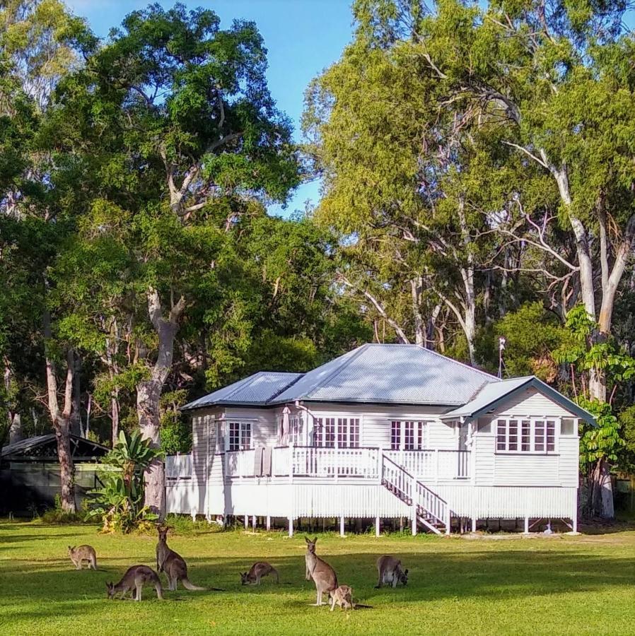 Lake Weyba Noosa Lodge & Kangaroos เพเรเจียนบีช ภายนอก รูปภาพ