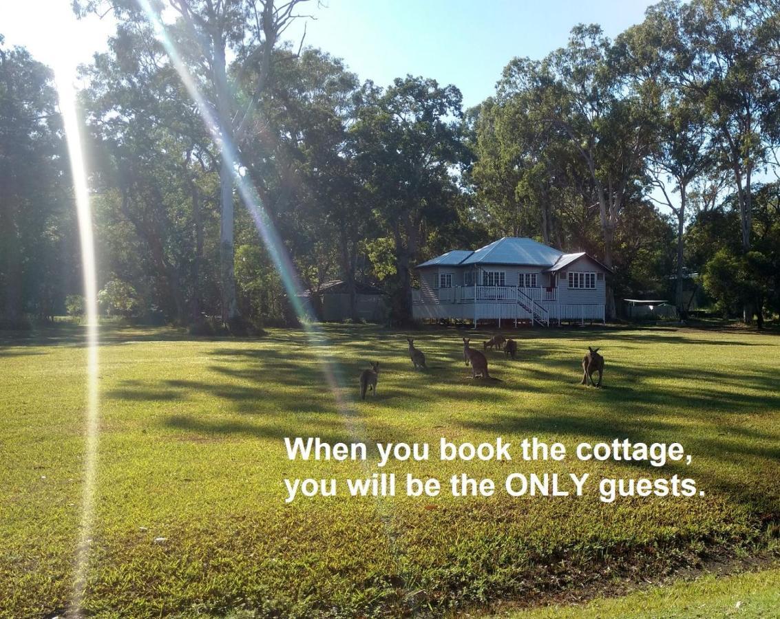 Lake Weyba Noosa Lodge & Kangaroos เพเรเจียนบีช ภายนอก รูปภาพ