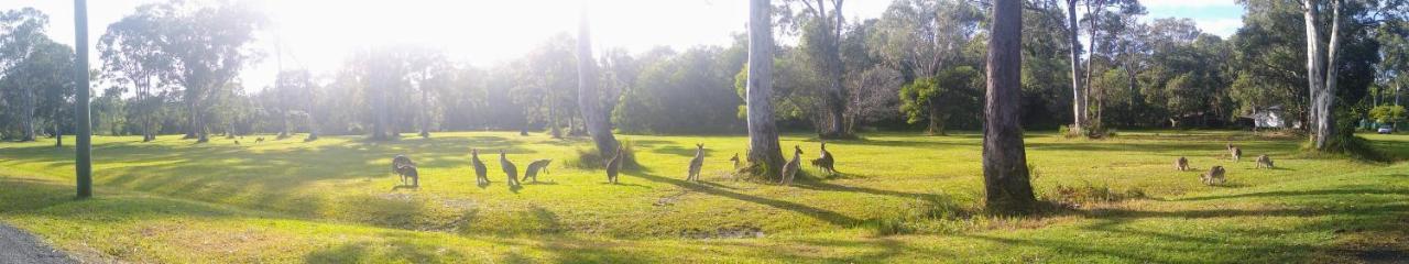 Lake Weyba Noosa Lodge & Kangaroos เพเรเจียนบีช ภายนอก รูปภาพ