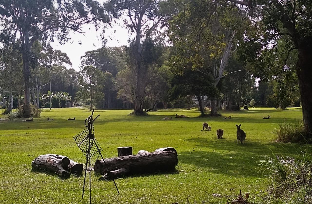 Lake Weyba Noosa Lodge & Kangaroos เพเรเจียนบีช ภายนอก รูปภาพ
