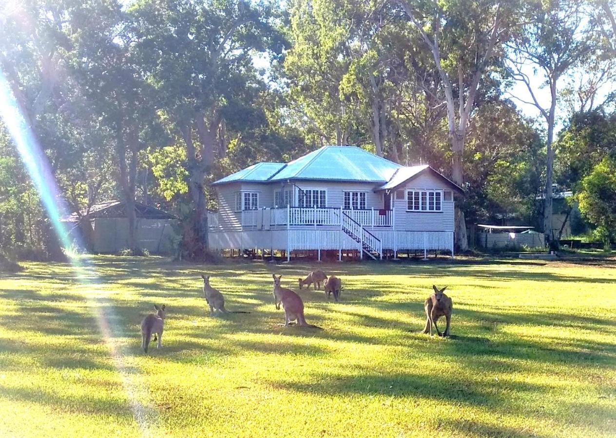 Lake Weyba Noosa Lodge & Kangaroos เพเรเจียนบีช ภายนอก รูปภาพ