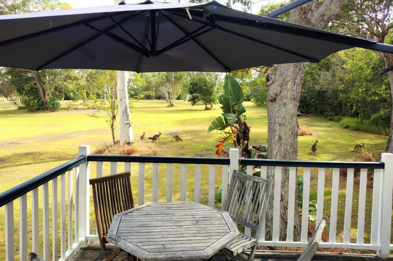 Lake Weyba Noosa Lodge & Kangaroos เพเรเจียนบีช ภายนอก รูปภาพ