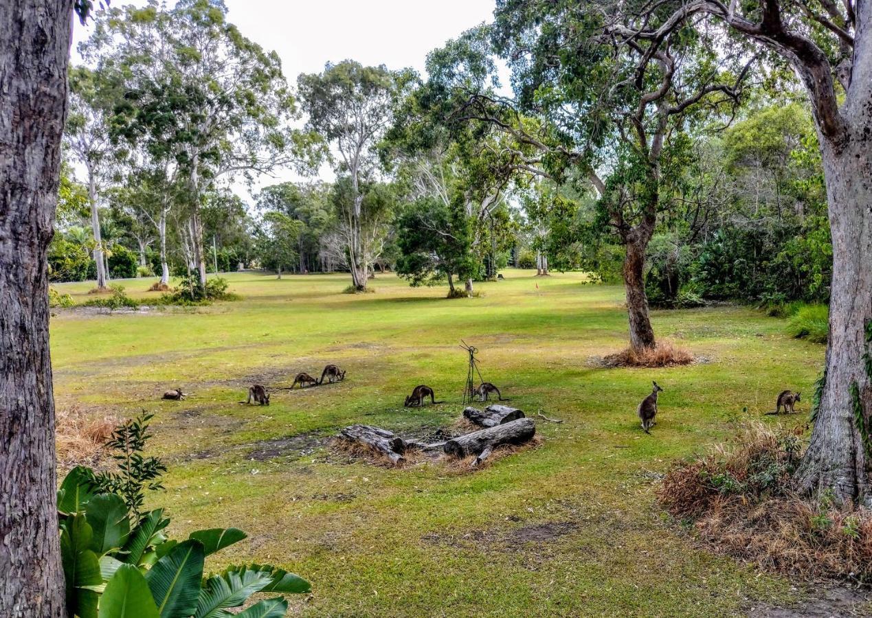 Lake Weyba Noosa Lodge & Kangaroos เพเรเจียนบีช ภายนอก รูปภาพ