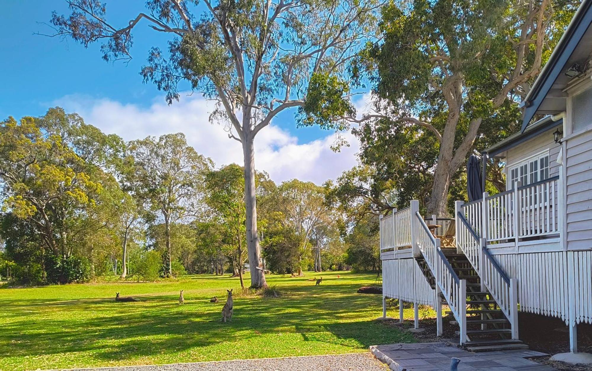 Lake Weyba Noosa Lodge & Kangaroos เพเรเจียนบีช ภายนอก รูปภาพ