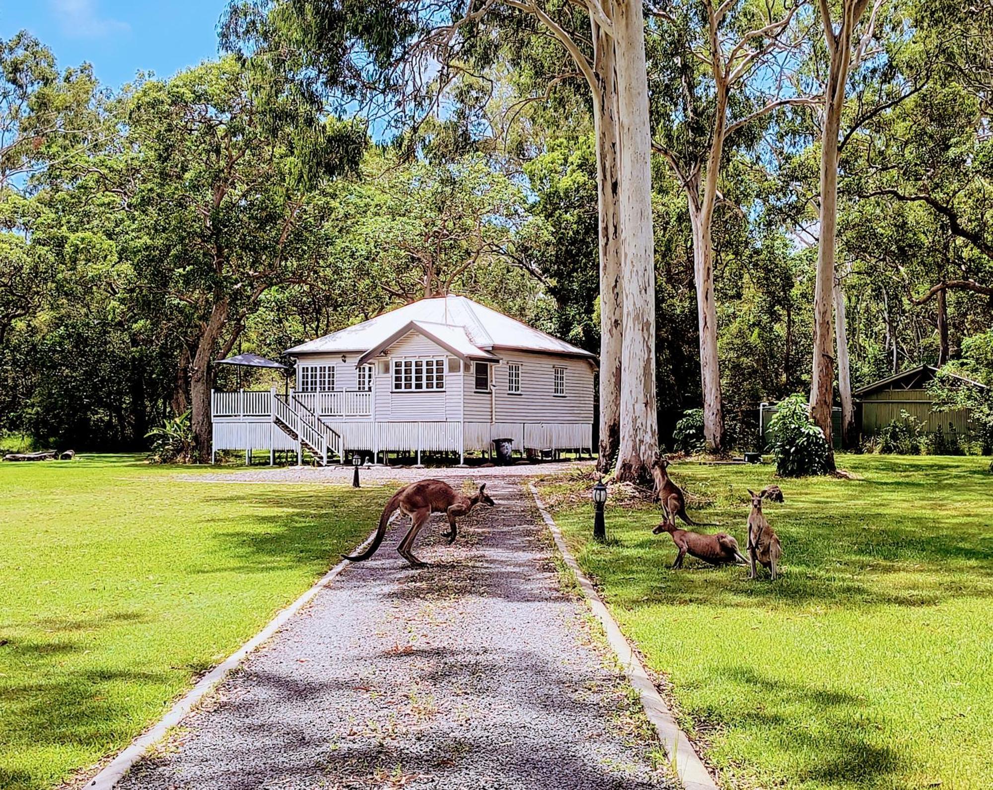 Lake Weyba Noosa Lodge & Kangaroos เพเรเจียนบีช ภายนอก รูปภาพ